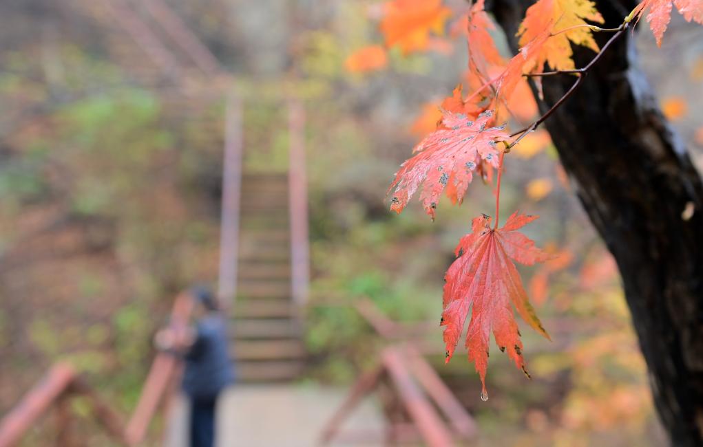 ??????: ????? ?????? ????? ?? ???? ???? ?????