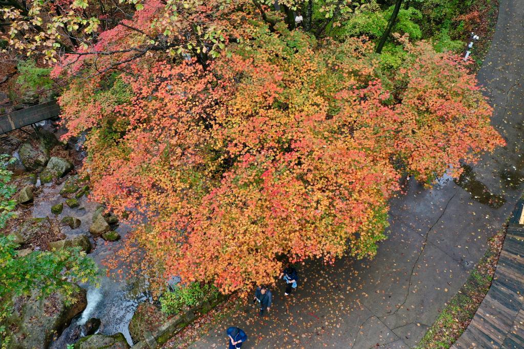 ??????: ????? ?????? ????? ?? ???? ???? ?????