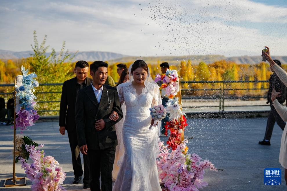 ???? ?????? ?? ????????: ?????? ??????? ????? ???? ??? ???????