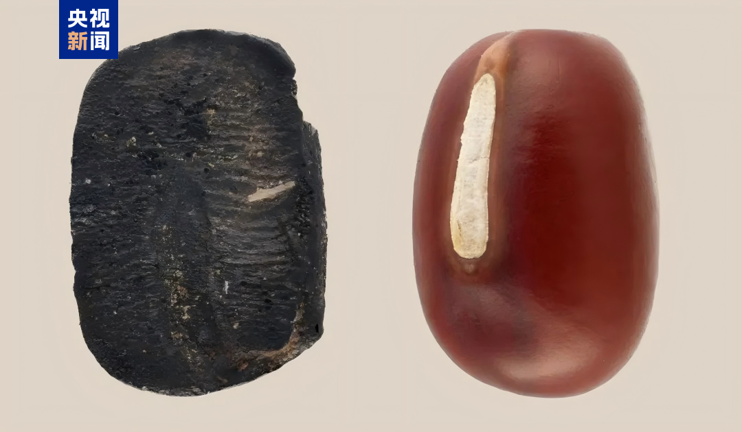 ????? ???? ?? ????? ?? ??? ????? ???? ???????? ????????