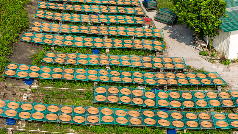 ???? ??? ??? ???????? ??????? ?????