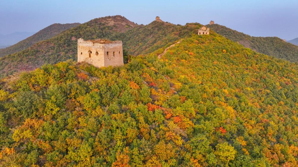 ??????: ????? ?????? ??? ??? ????? ??????