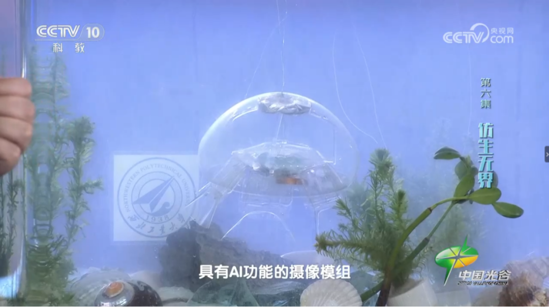 ????? ?????? ?????? ?? ????? ????? ????? ????? ?????? ???? ????? ?????? ?????? ??? ????? ?? ????? ??????