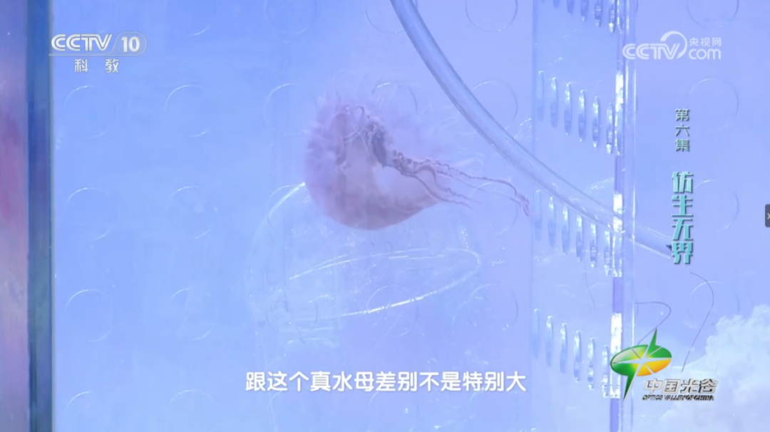 ????? ?????? ?????? ?? ????? ????? ????? ????? ?????? ???? ????? ?????? ?????? ??? ????? ?? ????? ??????