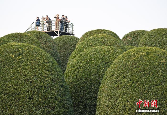 ???? ??????????? ??????? ?? ???????... ???? ????? ???? ??????