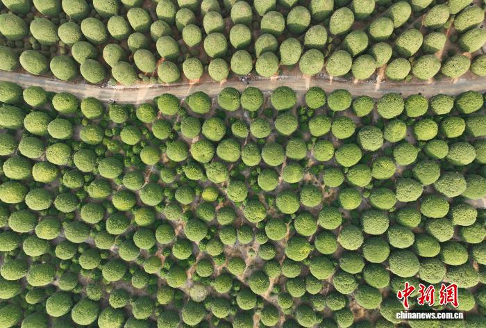 ???? ??????????? ??????? ?? ???????... ???? ????? ???? ??????