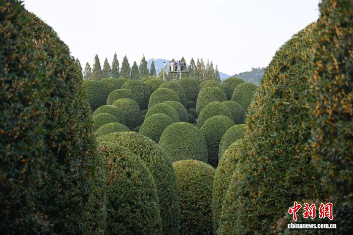 ???? ??????????? ??????? ?? ???????... ???? ????? ???? ??????