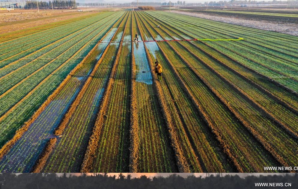 ???? ???? ?? 90 ??????? ?? ?????? ???????? ?? ?????