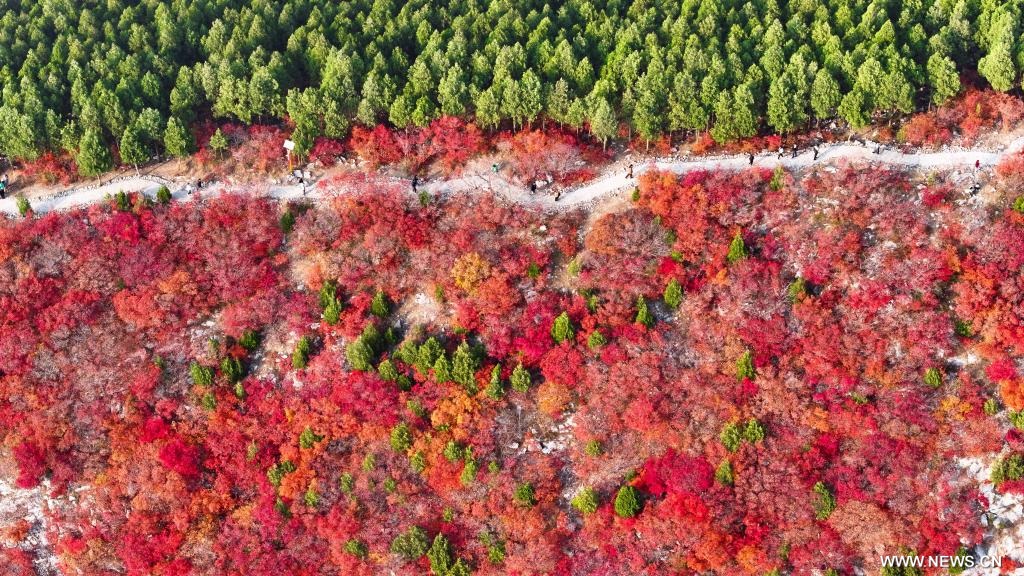 ????? ?????? ?? ????? ????? ?????