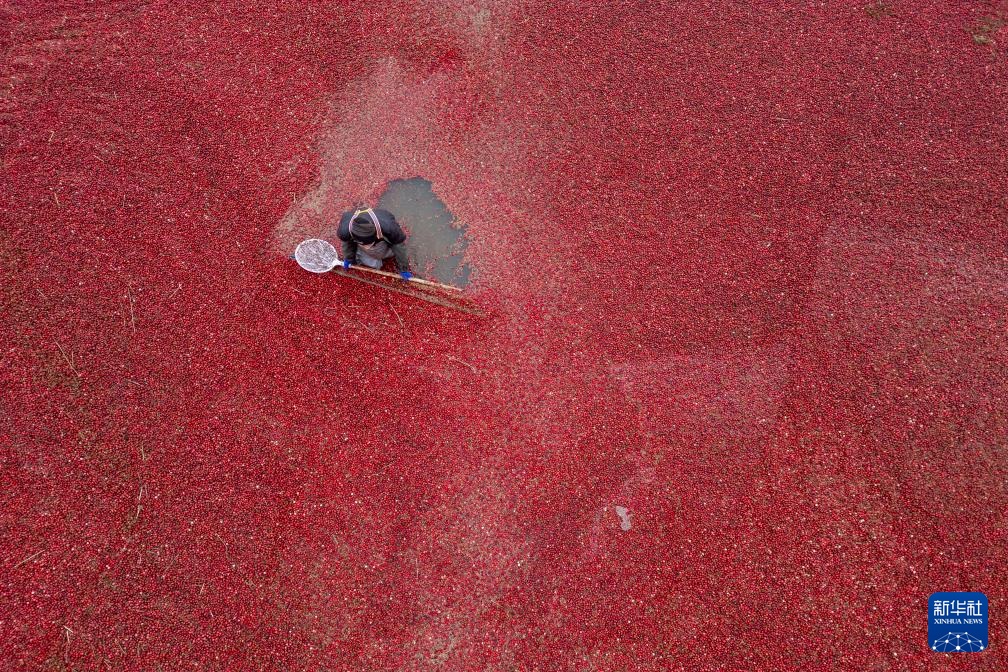 "????? ?????? ????????" ????? ?? ???? ????? ?? ?????