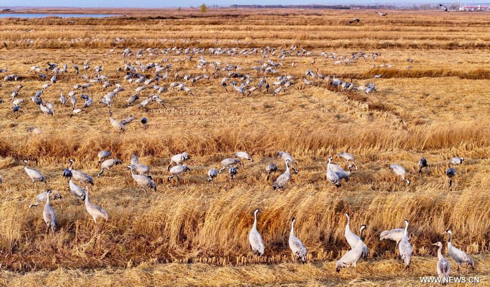 ????? ?? ????? ??????? ?????? ????? ???? ?????