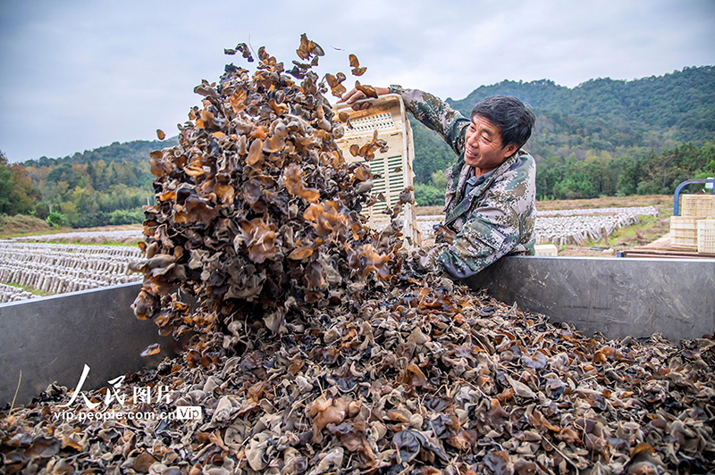 ??????? ???????: ???? ????? ??????