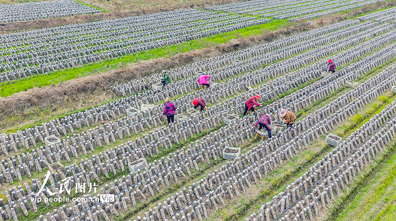 ??????? ???????: ???? ????? ??????