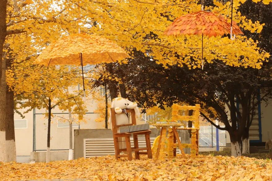 ?????? ??????? ?? ????? ?????? ????? ???????? ????? ?????? ?????? ?? ??????