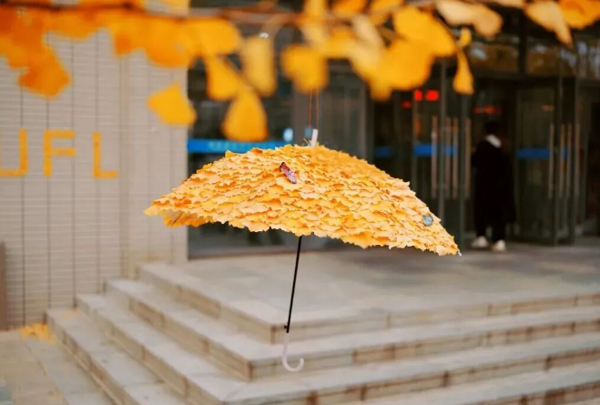 ?????? ??????? ?? ????? ?????? ????? ???????? ????? ?????? ?????? ?? ??????