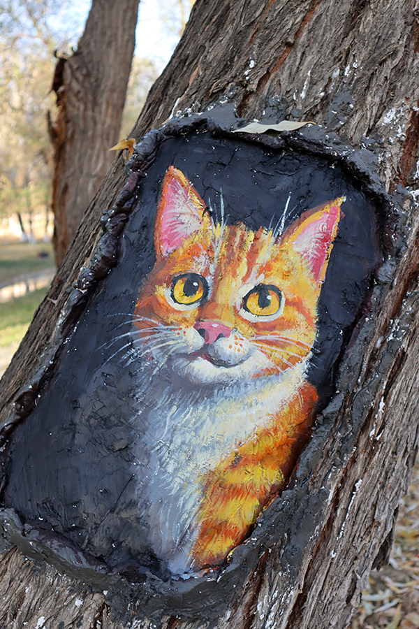 ????? ????????: ??????? ????? "????" ?? ???? ???????