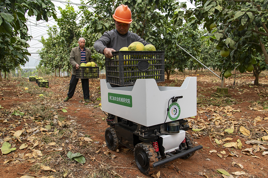 ??????? ???????: ??????? ??????? ??????? ?????? ?????? ????? ???????? ??????