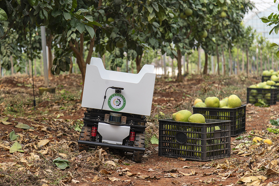 ??????? ???????: ??????? ??????? ??????? ?????? ?????? ????? ???????? ??????