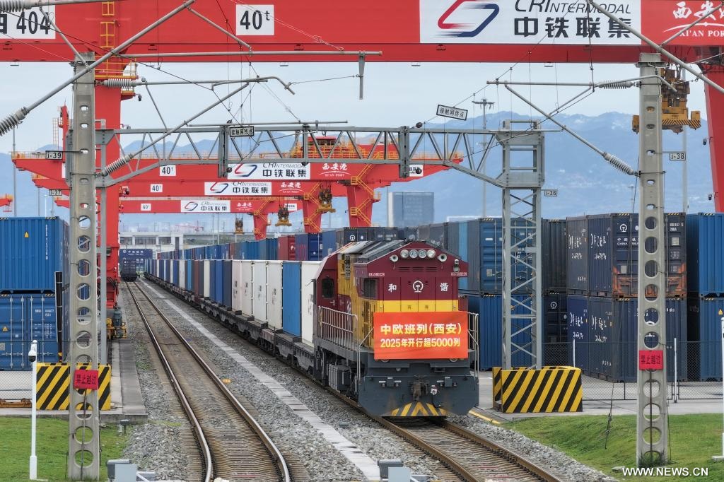 ????? ???? ?? 5 ???? ???? ??? ??? ???? ???? ????? ??????? ?? ?????? ?????? ??????