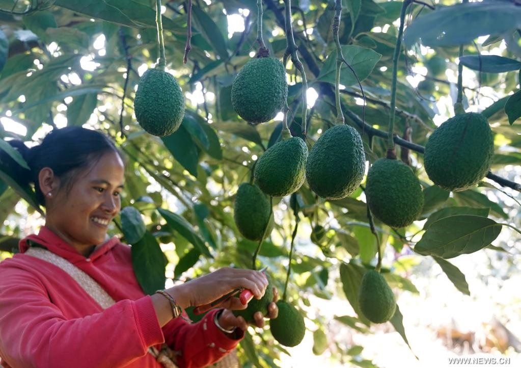 ?????? ????? ????? ?????? ????????? ?? ???? ???? ?????