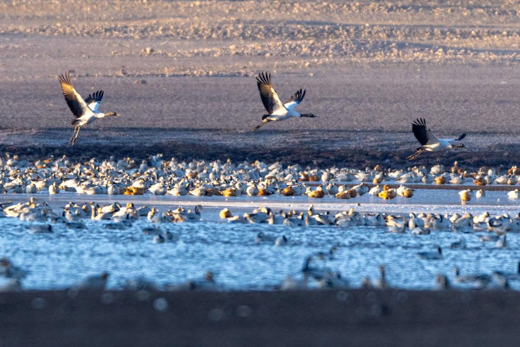 ??????: ???? ?????? ?? ?????? ?????? ????? ???? ?????