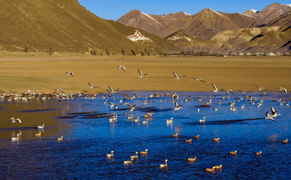 ??????: ???? ?????? ?? ?????? ?????? ????? ???? ?????