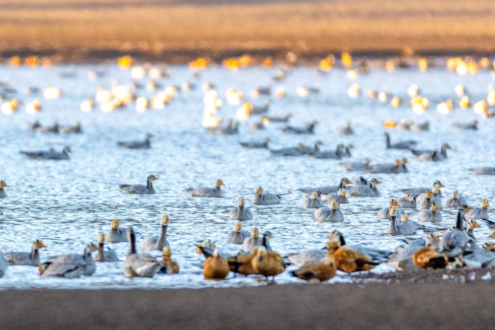 ??????: ???? ?????? ?? ?????? ?????? ????? ???? ?????