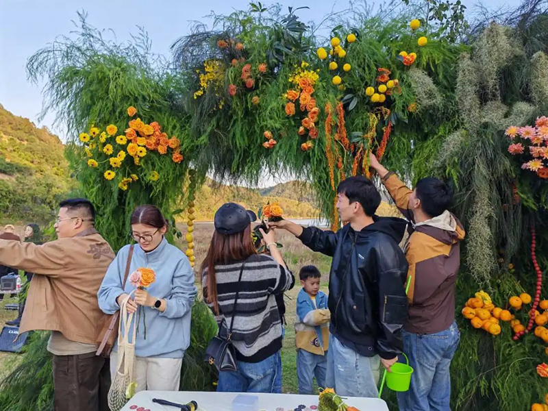 ???? ???? ??????: ???????? ???? ?? ?????? ???????? ????? ????????