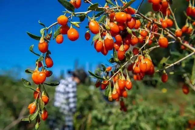 ????? "???? ??? ??????" ?? ???????? ??? ??????