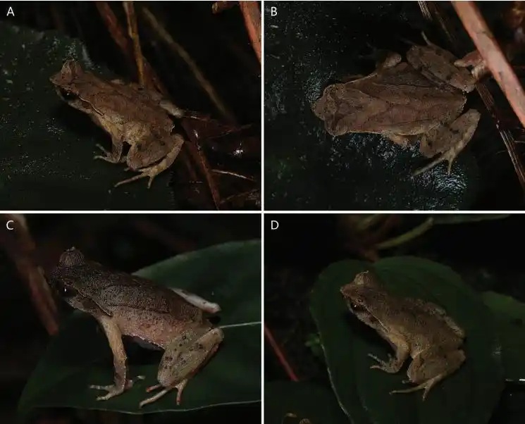 ?????? ??? ???? ?? ??????? ??? ?????? ?? ????? ?????