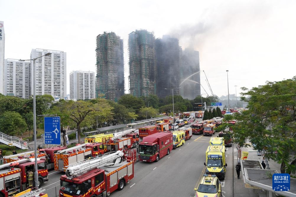 ?????? ???????? ?????? ???? ???? ???????? ??????: ????? 55 ???? ?? ???? ?????? ????? ?? ???? ????