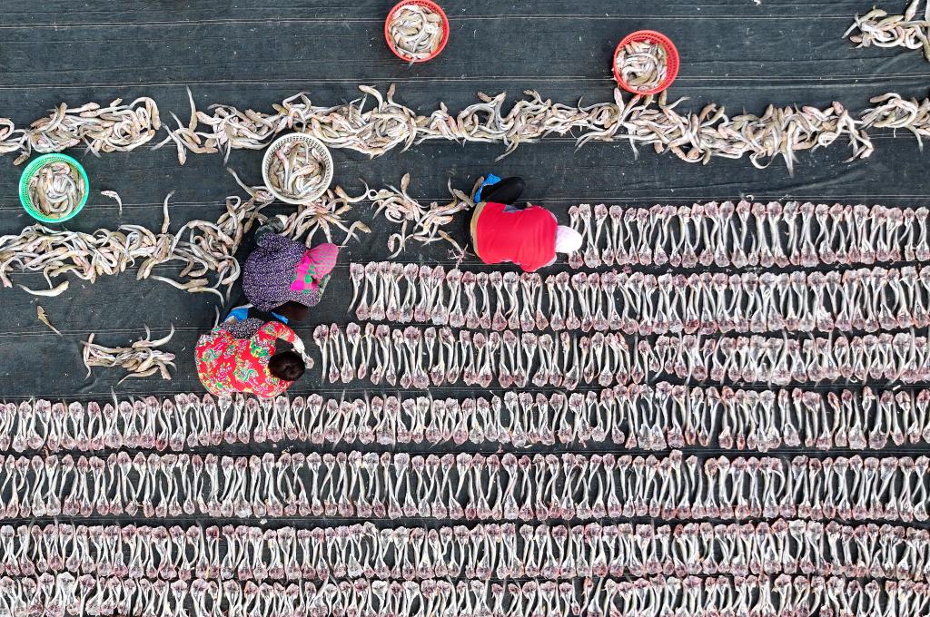 ????? ???????? ??????? ?? ????? ?????