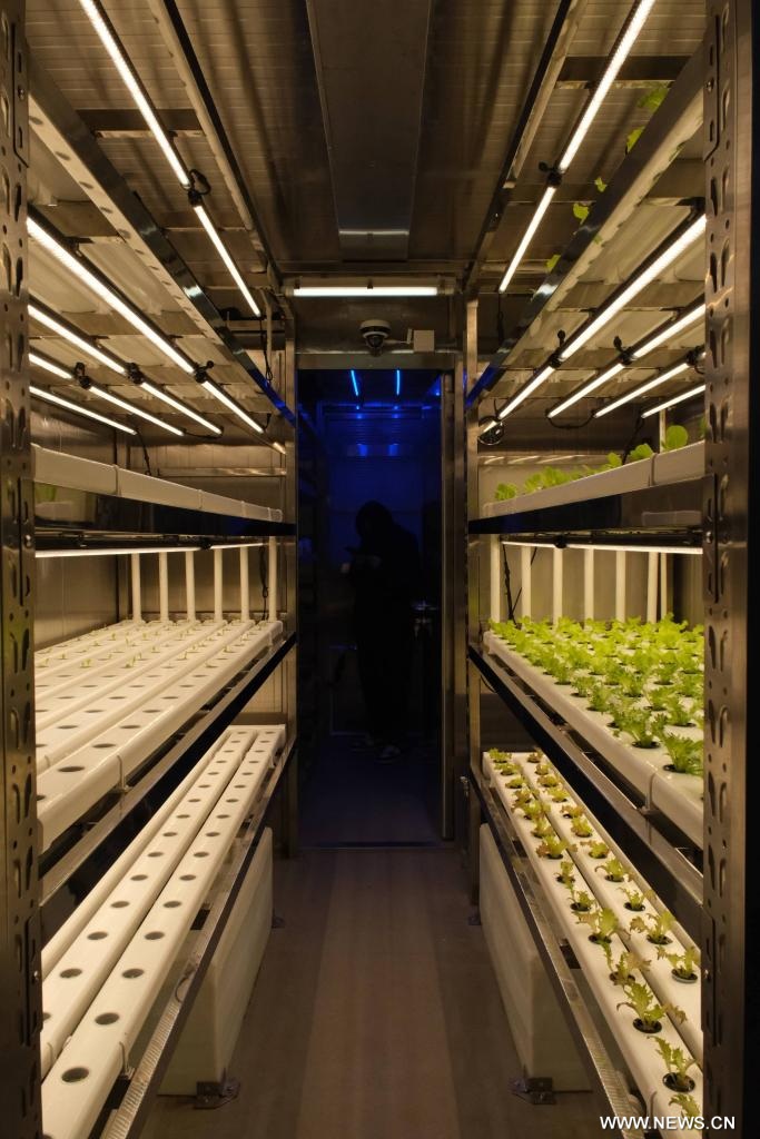 ????? ???? ?? ????? ???? ??? ??? ????? ?????? ???????? ?? ??????? ??????? ????????? ???????