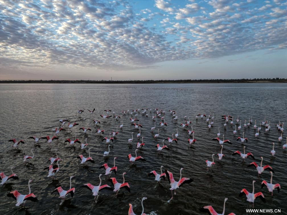 ???? ????????? ?? ????? ????? ????