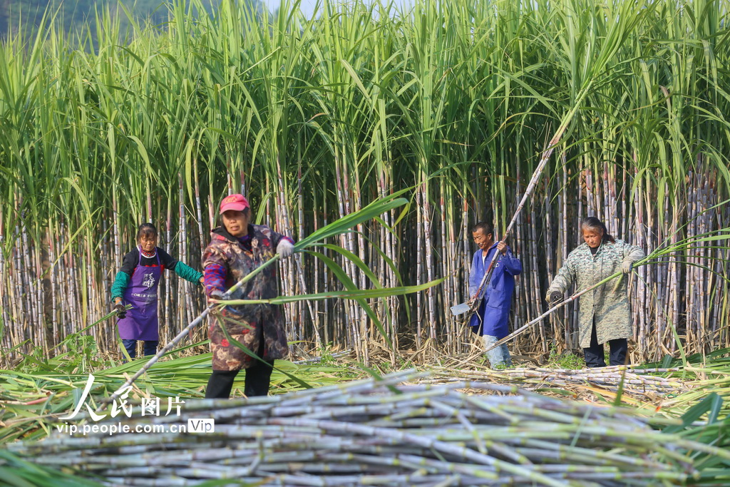 ????? ????? ??? ????? ???? ????? ????? ????? ?? ???????