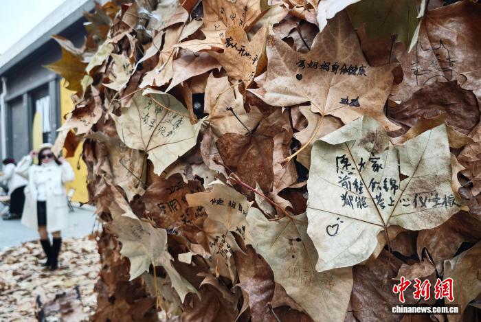 ????? ??? ?????? ????????? ?? ????? ??????? ???? ?????? ????? ?????????