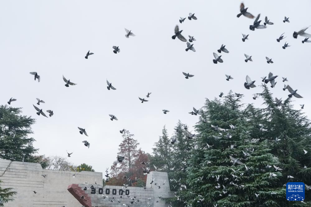 ????? ???? ????? ????? ????? ?????? ???? ????? ????? ??????? ????? ?????? ???? ???????