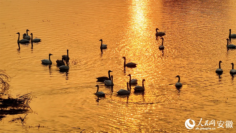 ???? ????? ?? ??? ??????? ????? ???? ?????? ?????? ??????