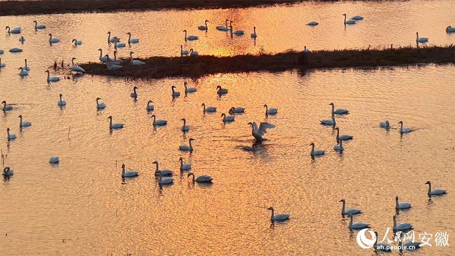 ???? ????? ?? ??? ??????? ????? ???? ?????? ?????? ??????