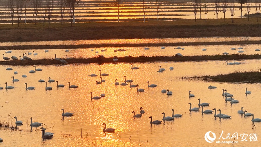 ???? ????? ?? ??? ??????? ????? ???? ?????? ?????? ??????