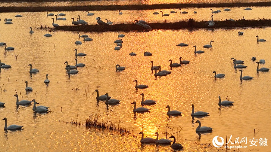 ???? ????? ?? ??? ??????? ????? ???? ?????? ?????? ??????