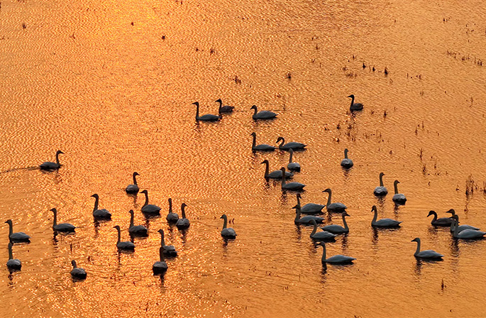 ???? ????? ?? ??? ??????? ????? ???? ?????? ?????? ?????