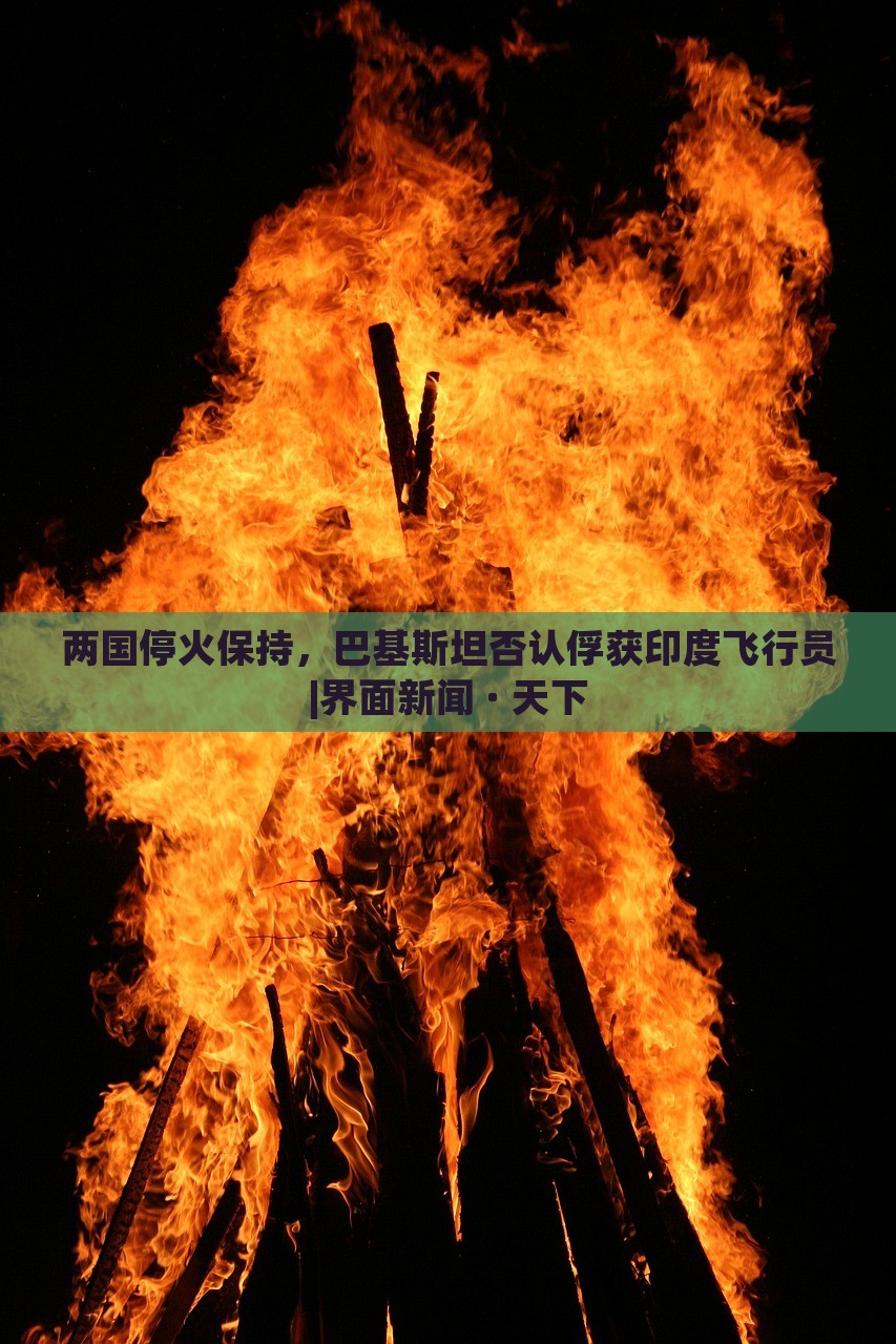 兩國?；鸨３?，巴基斯坦否認俘獲印度飛行員|界面新聞 · 天下