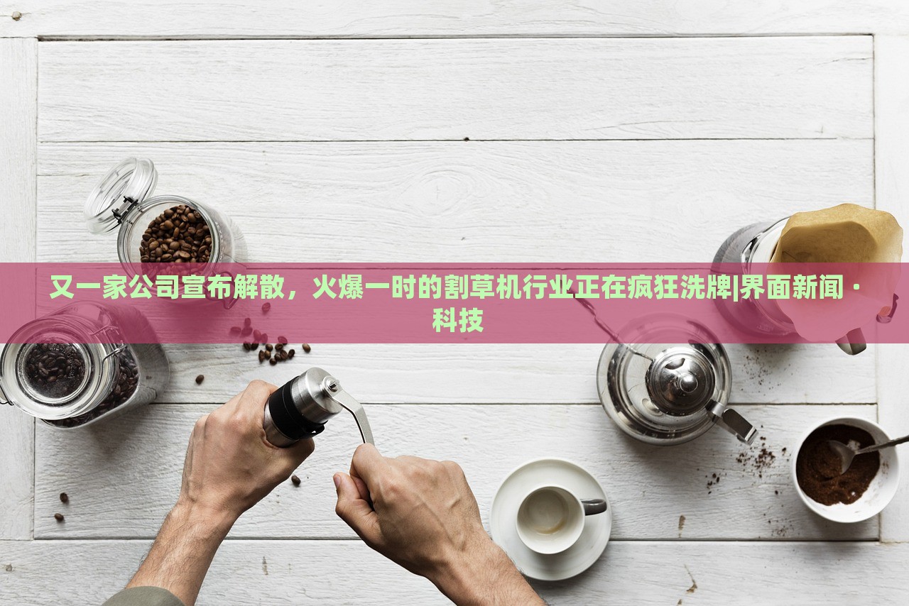 又一家公司宣布解散，火爆一時(shí)的割草機(jī)行業(yè)正在瘋狂洗牌|界面新聞 · 科技