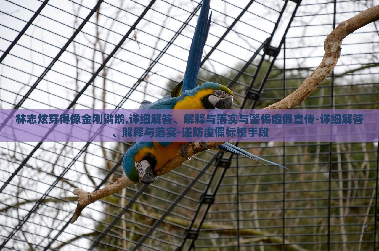 林志炫穿得像金剛鸚鵡,詳細解答、解釋與落實與警惕虛假宣傳-詳細解答、解釋與落實-謹防虛假標榜手段 林志炫穿得像金剛鸚鵡,詳細解答、解釋與落實與警惕虛假宣傳-詳細解答、解釋與落實-謹防虛假標榜手段