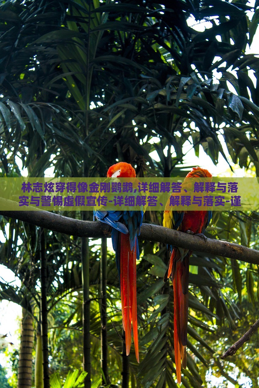 林志炫穿得像金剛鸚鵡,詳細解答、解釋與落實與警惕虛假宣傳-詳細解答、解釋與落實-謹防虛假標榜手段 林志炫穿得像金剛鸚鵡,詳細解答、解釋與落實與警惕虛假宣傳-詳細解答、解釋與落實-謹防虛假標榜手段