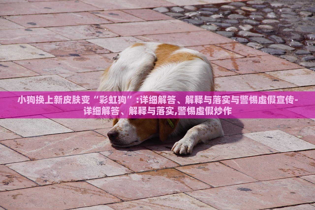小狗換上新皮膚變“彩虹狗”:詳細(xì)解答、解釋與落實(shí)與警惕虛假宣傳-詳細(xì)解答、解釋與落實(shí),警惕虛假炒作 小狗換上新皮膚變“彩虹狗”:詳細(xì)解答、解釋與落實(shí)與警惕虛假宣傳-詳細(xì)解答、解釋與落實(shí),警惕虛假炒作