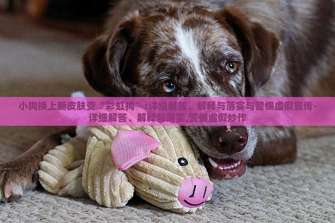 小狗換上新皮膚變“彩虹狗”:詳細(xì)解答、解釋與落實(shí)與警惕虛假宣傳-詳細(xì)解答、解釋與落實(shí),警惕虛假炒作 小狗換上新皮膚變“彩虹狗”:詳細(xì)解答、解釋與落實(shí)與警惕虛假宣傳-詳細(xì)解答、解釋與落實(shí),警惕虛假炒作