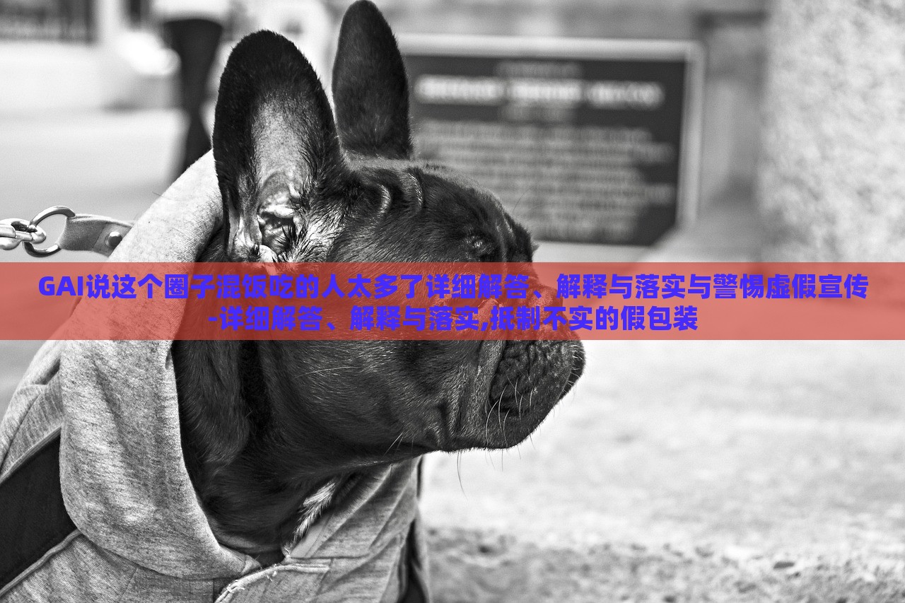 GAI說這個(gè)圈子混飯吃的人太多了詳細(xì)解答、解釋與落實(shí)與警惕虛假宣傳-詳細(xì)解答、解釋與落實(shí),抵制不實(shí)的假包裝