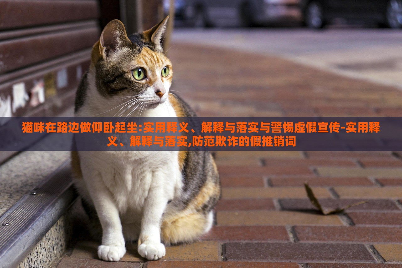 貓咪在路邊做仰臥起坐:實用釋義、解釋與落實與警惕虛假宣傳-實用釋義、解釋與落實,防范欺詐的假推銷詞